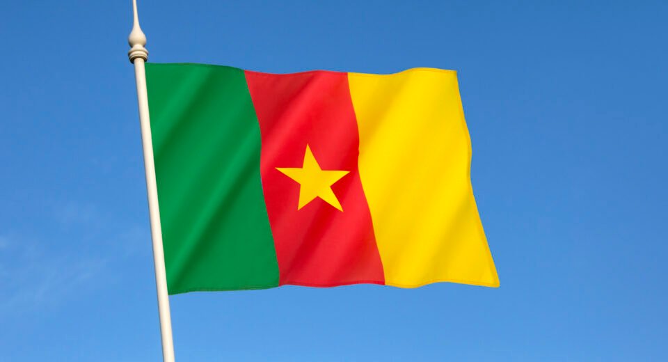 Flag of Cameroon