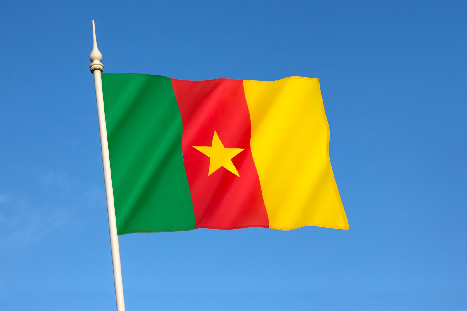 Flag of Cameroon