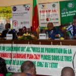 Pont sur la Ngoum, travaux paralysés par des contraintes d’approvisionnement et de financement