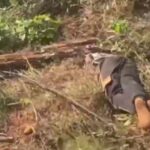 Joseph Espoir Biyong adhère au parti d’Issa Tchiroma Bakary