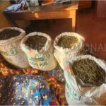 Masse salariale au Cameroun, quand la réforme administrative révèle ses propres limites