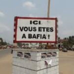 Un palmier providentiel sauve 70 passagers d’une tragédie à Nkongsamba